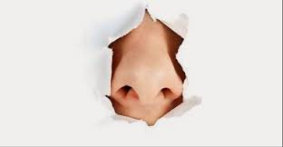 nose